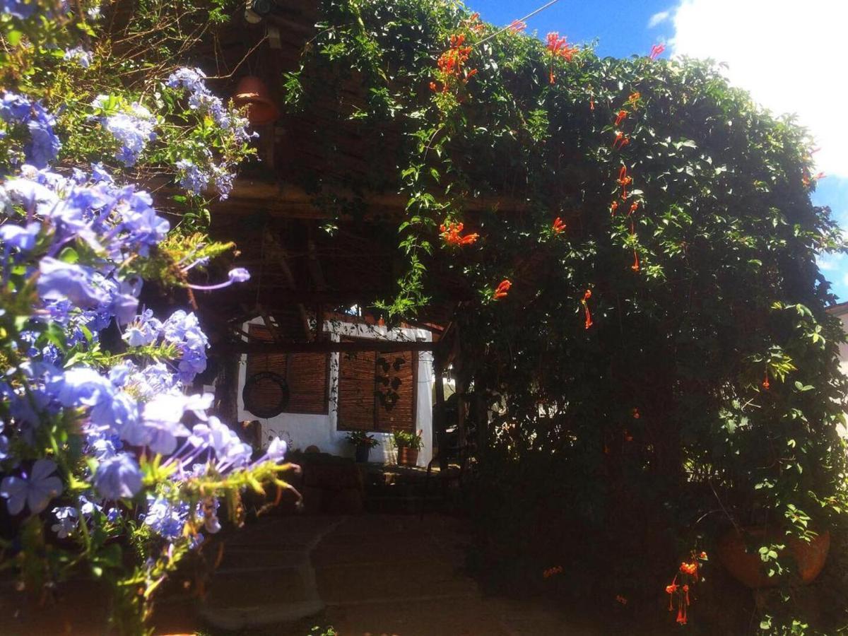 בריצ'ארה Tinto Hostel מראה חיצוני תמונה